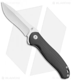 Kizer Vanguard Cucchiara Bad Dog Flipper Knife Black G-10 (3" Stonewash) V3463A1